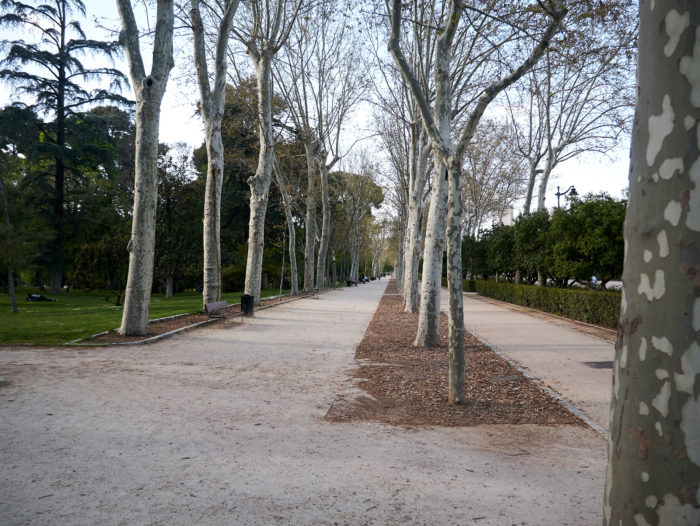Платановая аллея в парке Ретиро, Мадрид